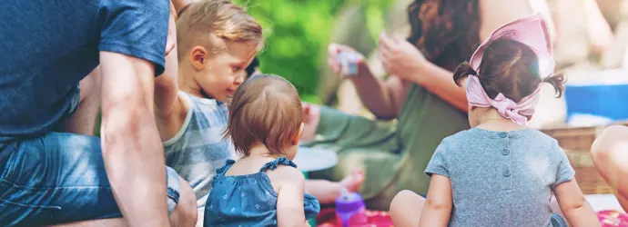 Ideas Para Picnic
