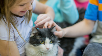5 consejos para lidiar con los síntomas de alergia a las mascotas