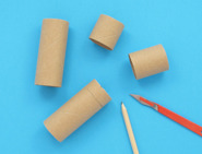 Quatro rolos de papel higiénico cortados em fundo azul com dois lápis ao lado.
