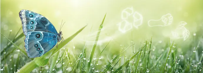 Productos cuidadosos, innovadores y biodegradables