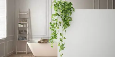 Diseño minimalista elegante de un baño blanco