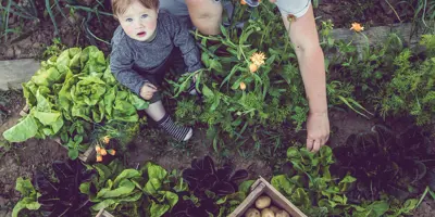 Cómo ser más ecológico en casa