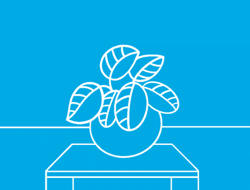 GIF animado de um menino procurando por um tesouro escondido atrás de vaso com plantas.
