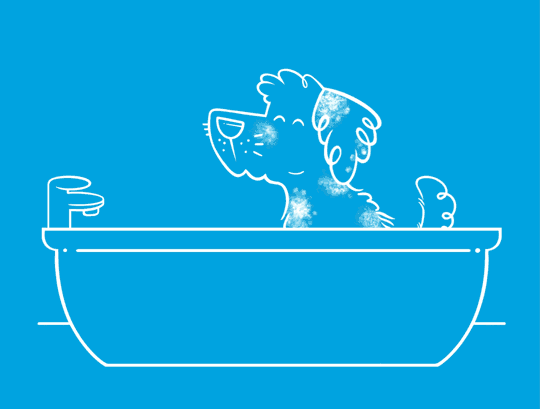 Bathe your pet (as much as they'll let you!)