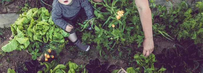 Dicas amigas do ambiente: Como ser mais sustentável em casa