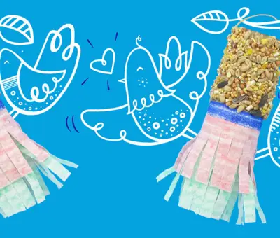 Como fazer um alimentador para pássaros para o jardim