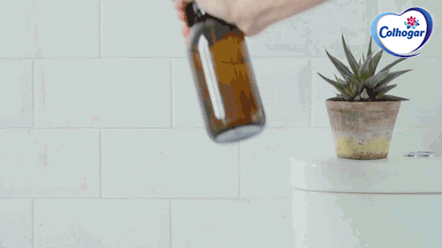 Ou… utilize um detergente caseiro para azulejos