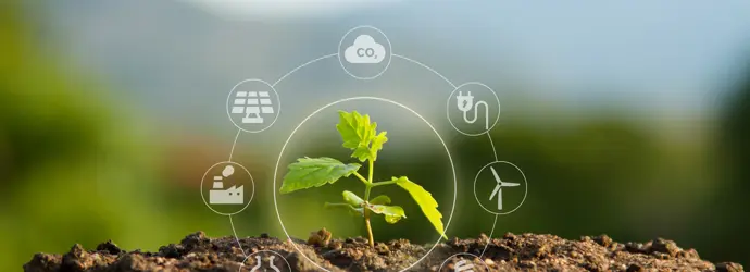 O que é o efeito de estufa e o aquecimento global?