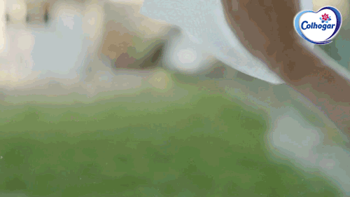 GIF de uma mão com um lenço de papel finalizando a limpeza dos vidros da janela